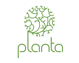 Planta