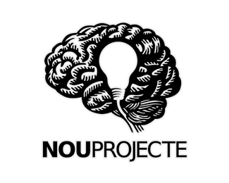 NouProjecte