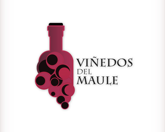 Viñedos del Maule