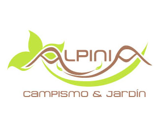Alpinia