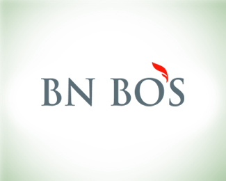 BN Bos