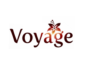 Voyage