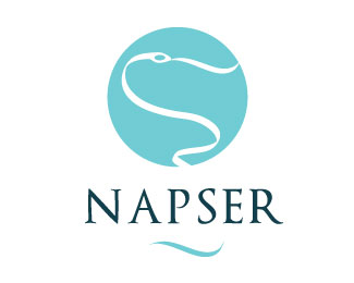 NAPSER