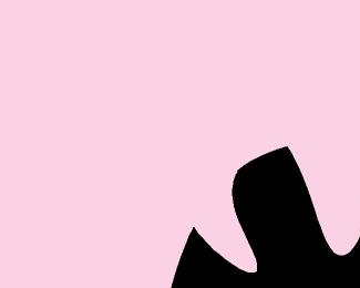 zebra-dj (second version)