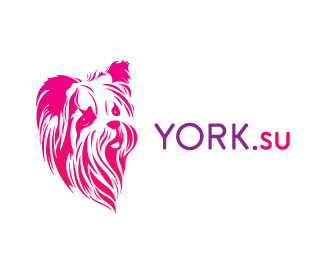 York.su