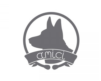 Amici