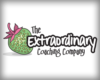 The Extrodinary Coaching Company