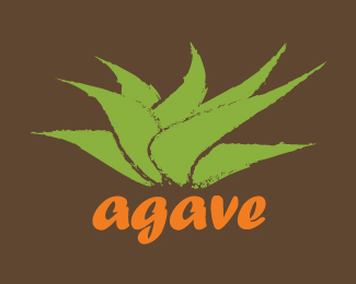 Agave