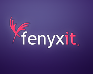 Fenyx IT