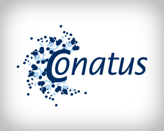 conatus 3