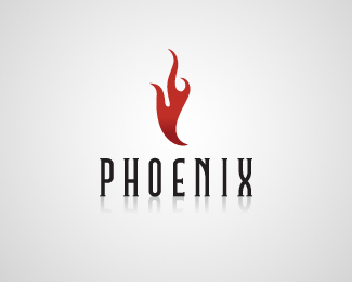 Phoenix Construction