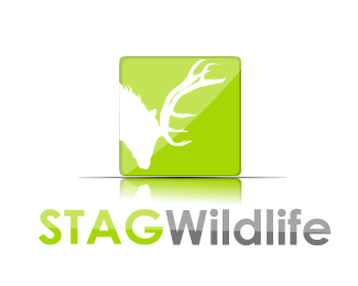 STAG Wlidlife