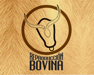 Reprocuccion bovina