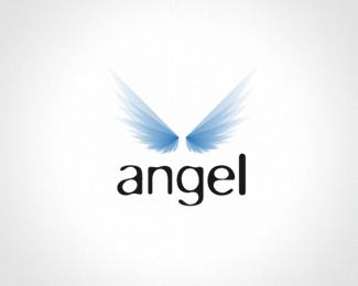 Angel Partners