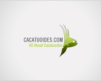 Cacatuoides