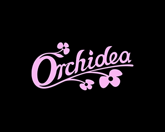Orchidea