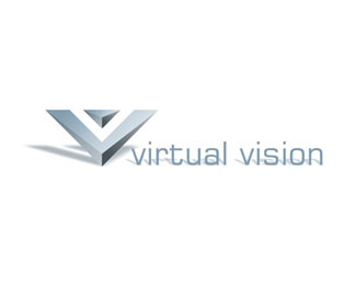 Virtual Vision