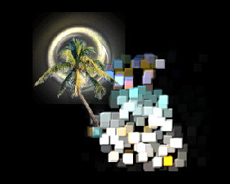 Tropical Photography Logo