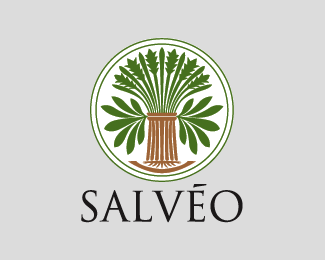 Salveo
